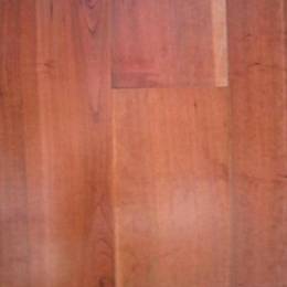 300x300 American cherry.jpg